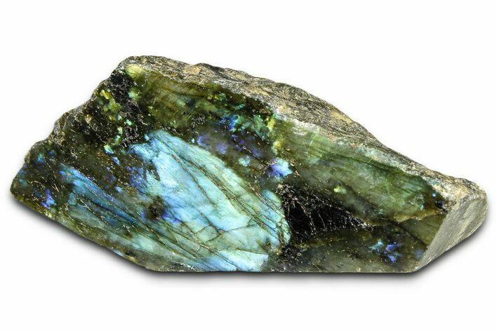 Single Side Polished Labradorite Section - Madagascar #364315